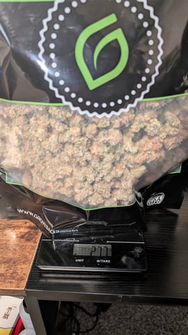 Strawberry Cheesecake Seedsman Seeds Autoflowers x2 — flower, day 120