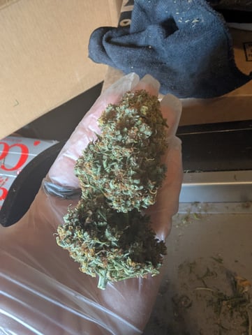 Strawberry Banana — done, day 122