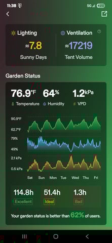 Looking for advice! — flower, day 65