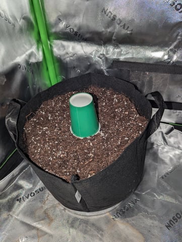 First Grow — grow_setup, day 1
