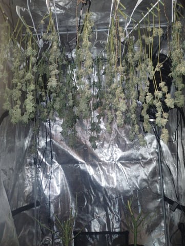 Photo Time📸🕞 — harvest, day 121
