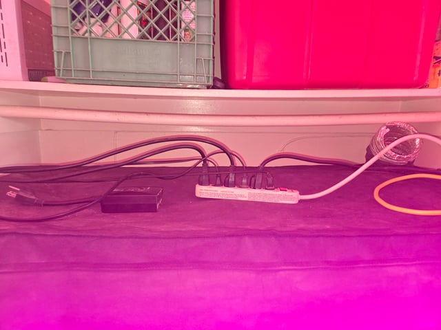 high octane x holy grail  — auto, day 36