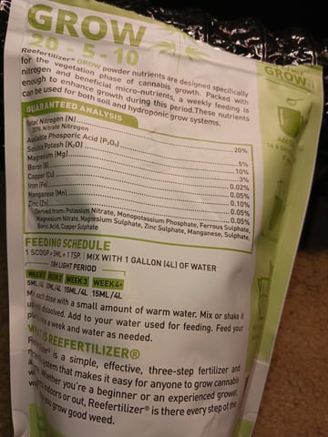 black gorilla feminized  — vegetative, day 1