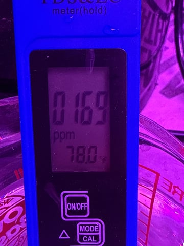 XJ-13 Plant 5 — grow_setup, day 1