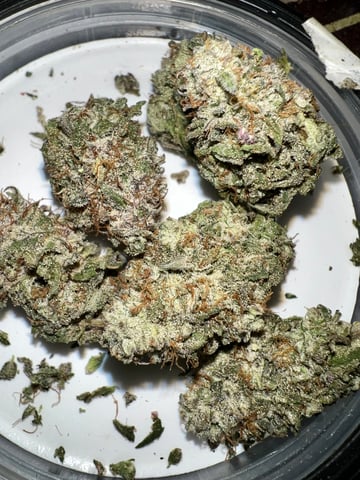 Indoor Grow  — harvest, day 128