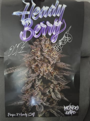 Sour Headies/OGBX1 — flower, day 113