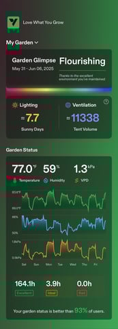 Jane doe — vegetative, day 5