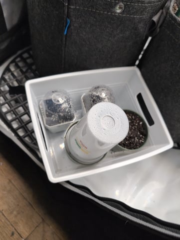 grow 2  — germination, day 1