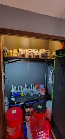 WHAT THE HELL JUST HAPPENED!!! — grow_setup, day 8