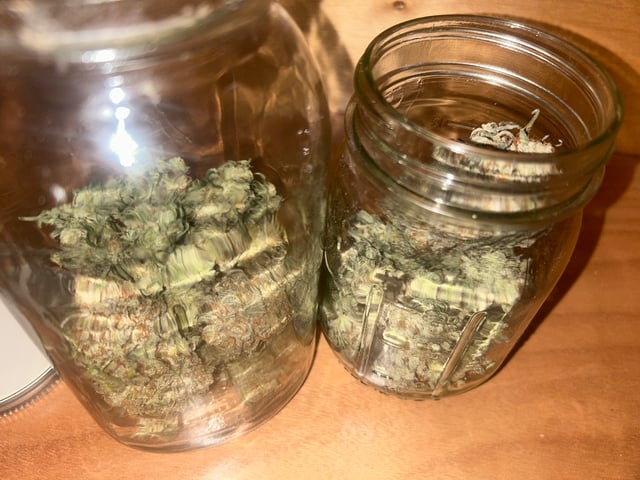 unknown strain 1st grow — done, day 129