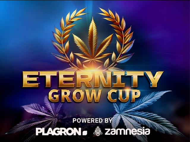 Birthday Harvest — harvest, day 1