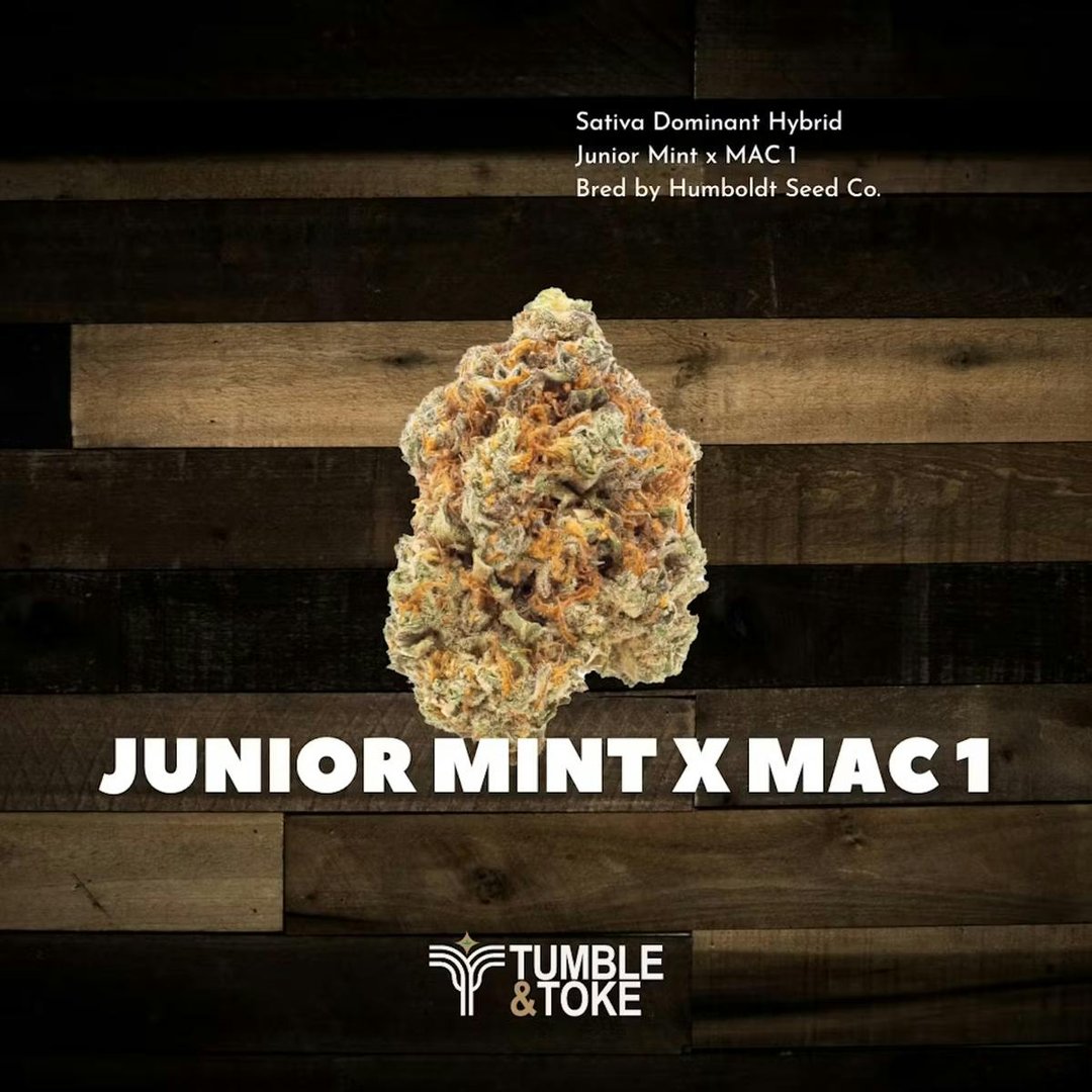 Junior Mint X Mac 1