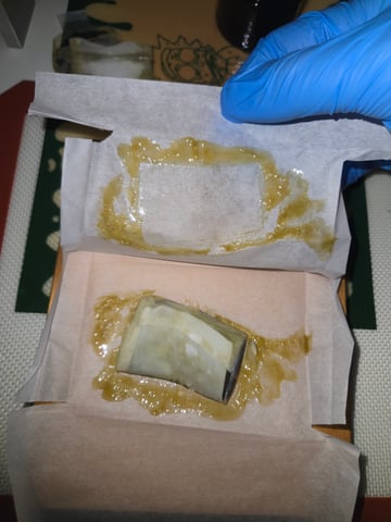 Fastbuds Autoflower Run — done, day 102