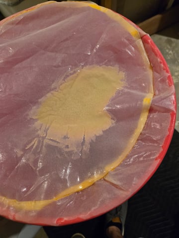 Fastbuds Autoflower Run — harvest, day 90