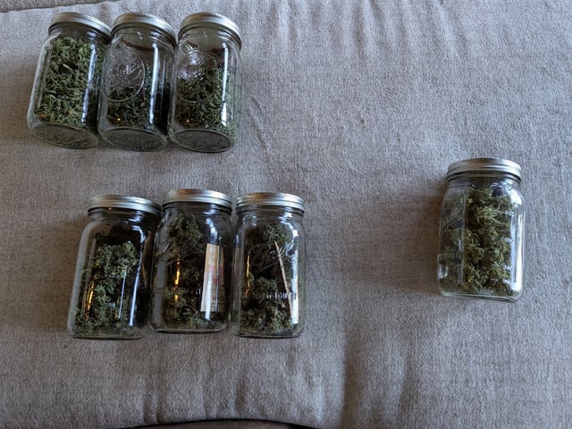 October Start — done, day 140