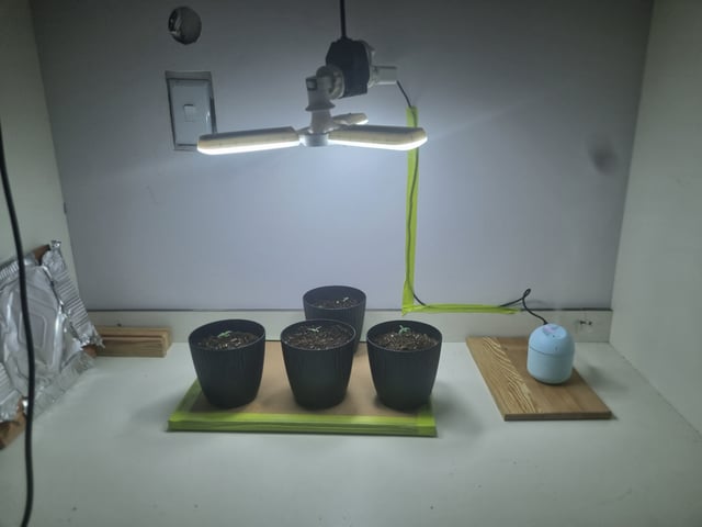 My first Indoor Grow — vegetative, day 1