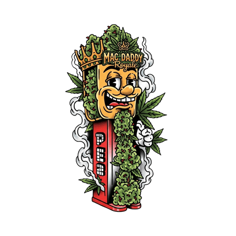 Another Breeding Session  — flower, day 2