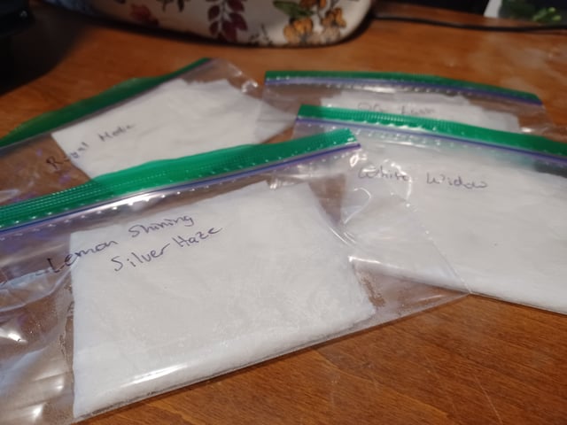 summer 2025 — grow_setup, day 1