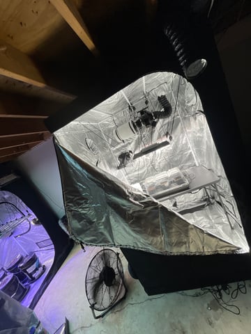 1st Ever Grow (GodFather OG) (Coco) — germination, day 3