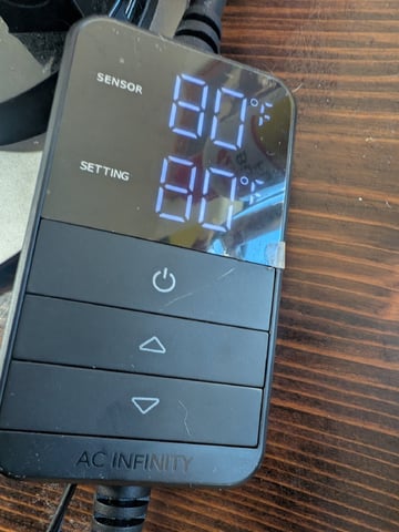 Grow Tent Starts — germination, day 8