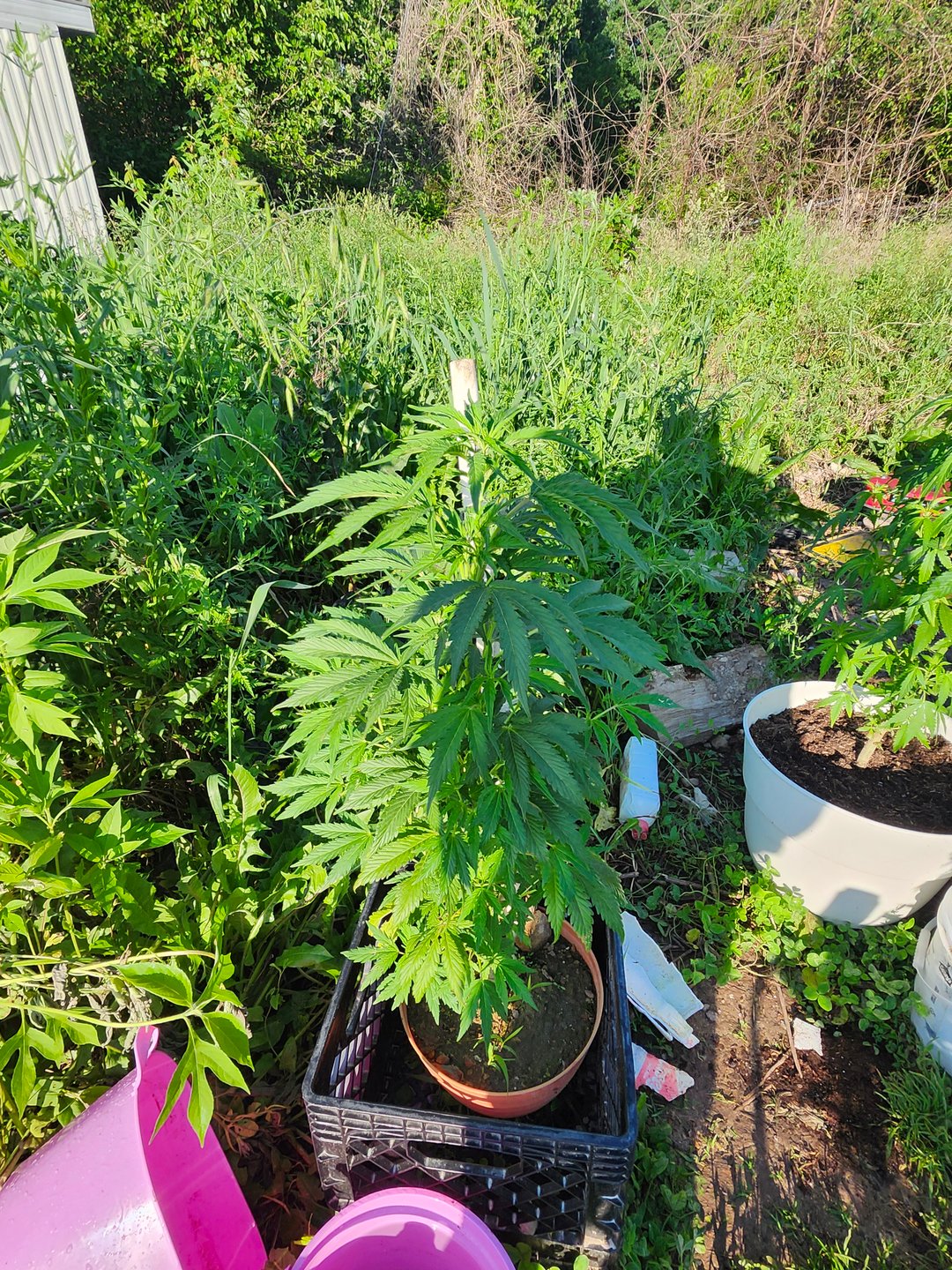 First time for everything 