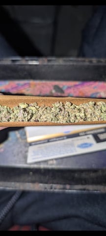 B E A utiful  — harvest, day 144