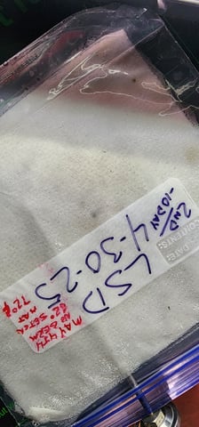 Here We Grow... — seedling_rooting, day 16