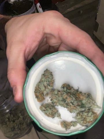 Ak-47 (Fast Verison) and pine Auto 