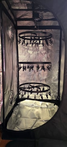 WHAT THE HELL JUST HAPPENED!!! — grow_setup, day 62