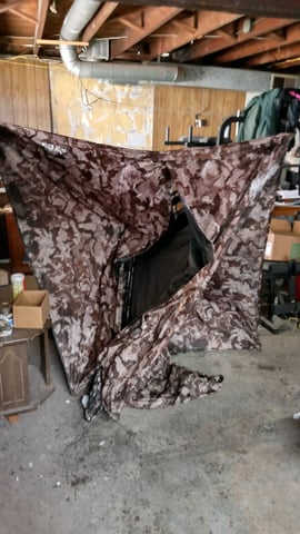 Jack hearer/Jack the ripper? — vegetative, day 39