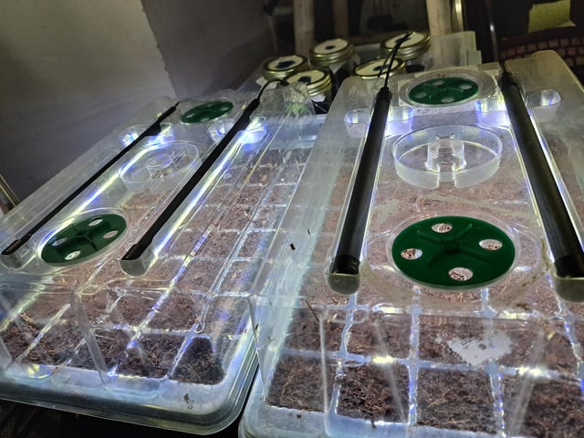 Bucket List Grow #2 — grow_setup, day 1
