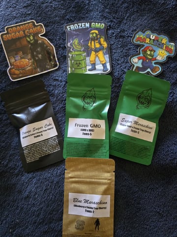 OLD GROW, NEW IDEAS — harvest, day 57
