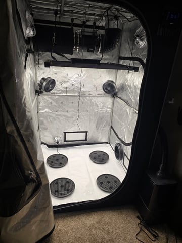 1st Grow 4x4 — grow_setup, day 1