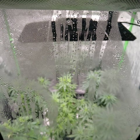 run #3 — grow_setup, day 1