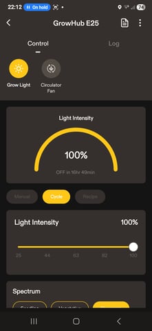 Blue Dream ( I THINK) — grow_setup, day 40