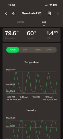 Grow #2 — vegetative, day 41