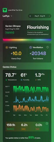 Northern Lights / Banana Kush — vegetative, day 20