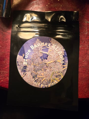 high octane x holy grail  — auto, day 29