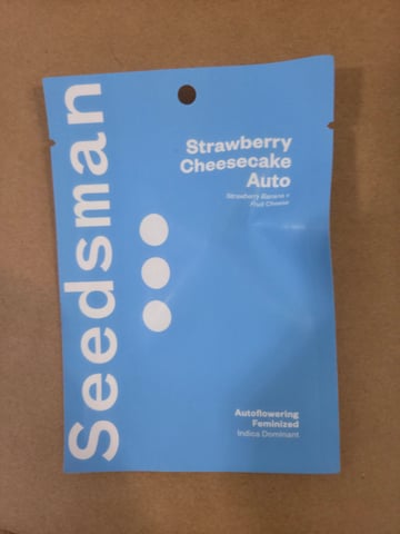 Strawberry Cheesecake Auto from Seedsman