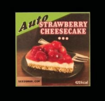 Strawberry Cheesecake Seedsman Seeds Autoflowers x2 — grow_setup, day 1
