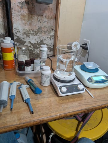 Plant in a test tube — grow_setup, day 1