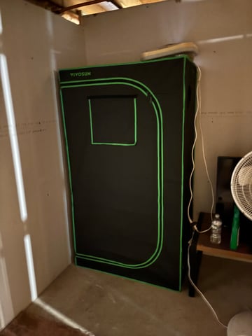 Round 1 — germination, day 8