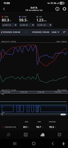 Purple Haze  — flower, day 56