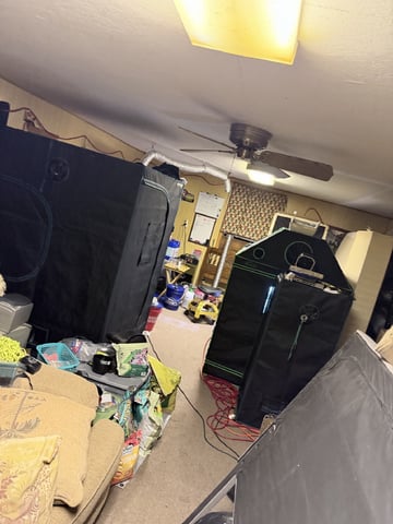 5’x5’ — grow_setup, day 1