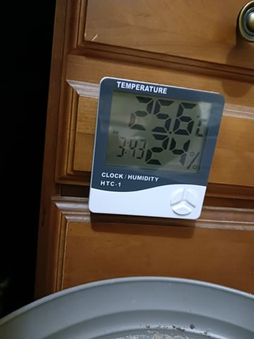 4th grow  — seedling_rooting, day 133