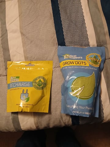 fruity pebbles, cap junky — vegetative, day 32