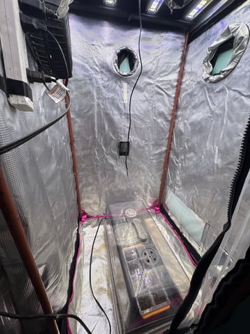 Grow #2 2x2x4 — grow_setup, day 1