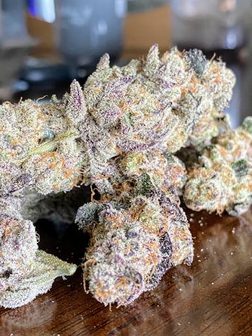 jelly cake — vegetative, day 6