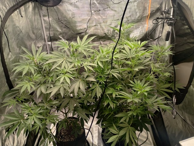 Photo Time📸🕞 — flower, day 66