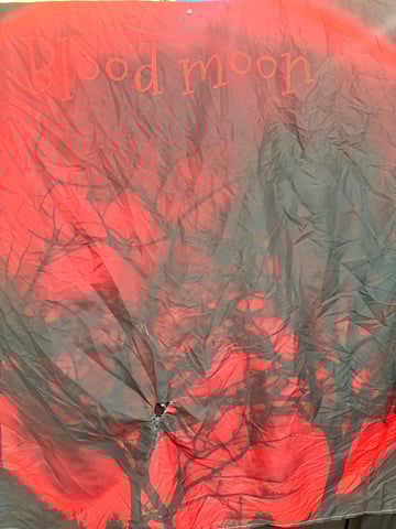 BloodMoon Gelato — flower, day 88